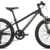 Orbea MX 20 XC Kinderrad MTB