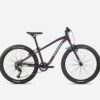 Orbea, MX 24 DIRT MTB Kinderrad 2023