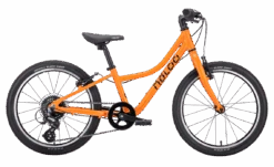 Naloo Chameleon 20 Zoll MK2 Kinderfahrrad